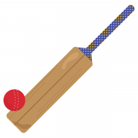Cricket Icon