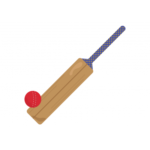 Girls Cricket Report 2023