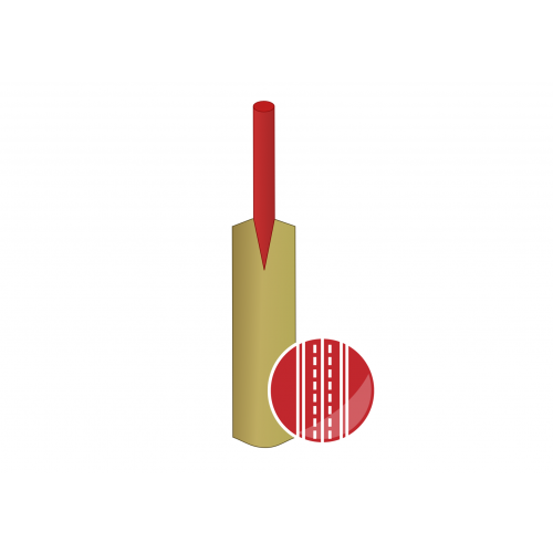 Boys Cricket Report 2023