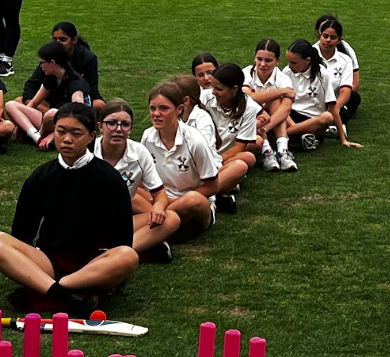 Cricket 4