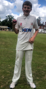 cricket y7 2