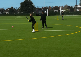 Cricket 5