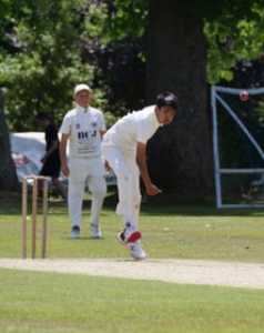 cricket y7 3