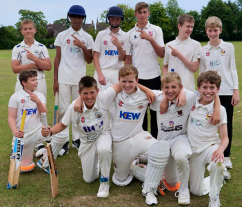 cricket y9 1