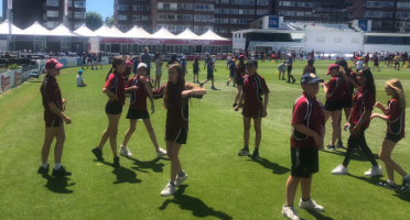 cricket sussex ccc 5