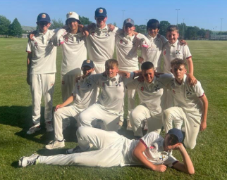 B Cricket 15