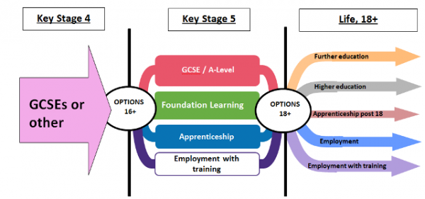 Different trade school options