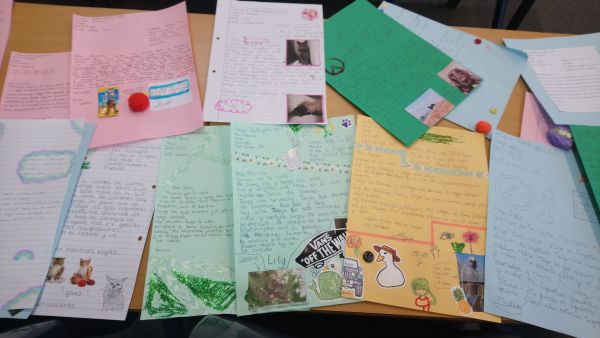 penpal1 1